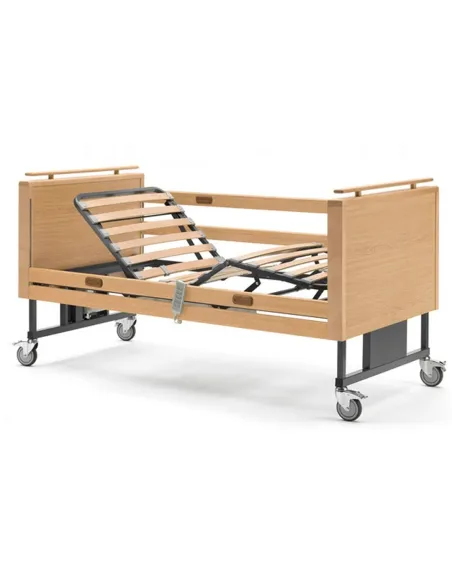 Cama Articulada ANETO ALZHEIMER Trend y Antitrend con Barandillas Opcionales