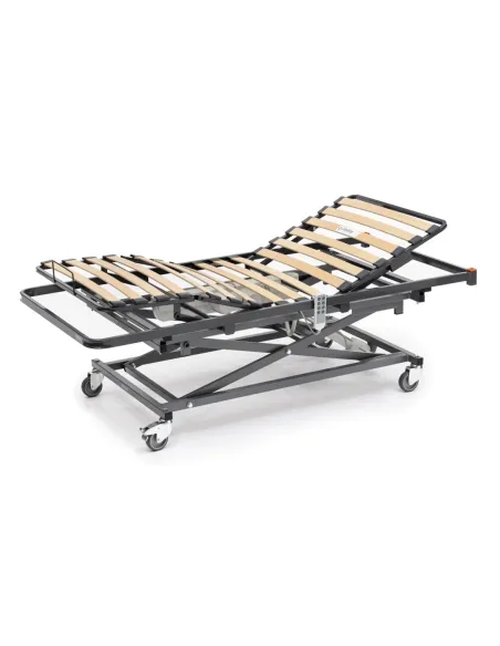 Cama Articulada VITA LIFT con carro Elevador Gerialine