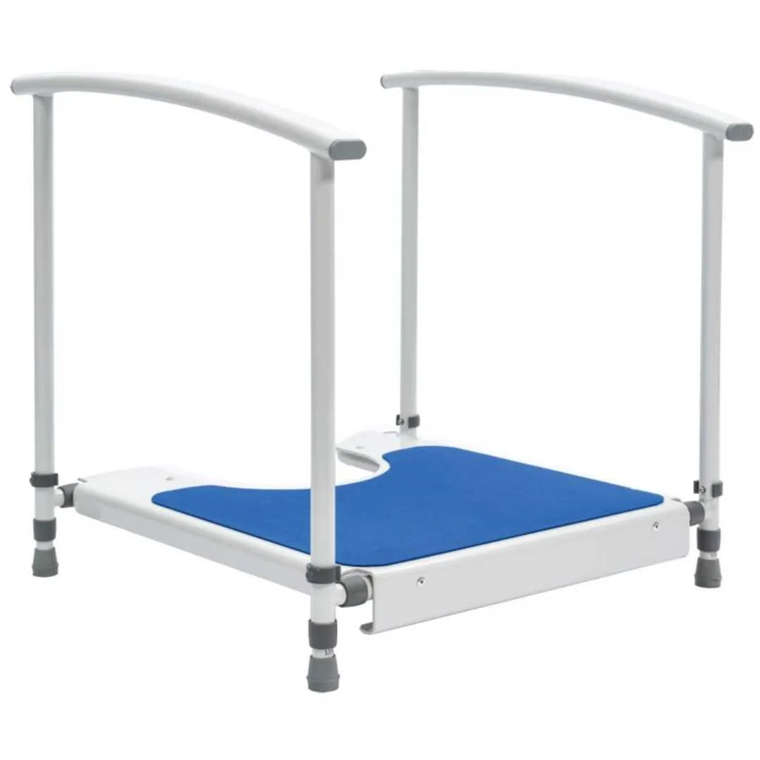 Plataforma con Reposabrazos para WC Infantil