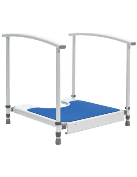 Plataforma con Reposabrazos para WC Infantil