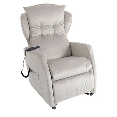Sillón Incorporador Relax DAFNE 2 Motores con 2 Ruedas...