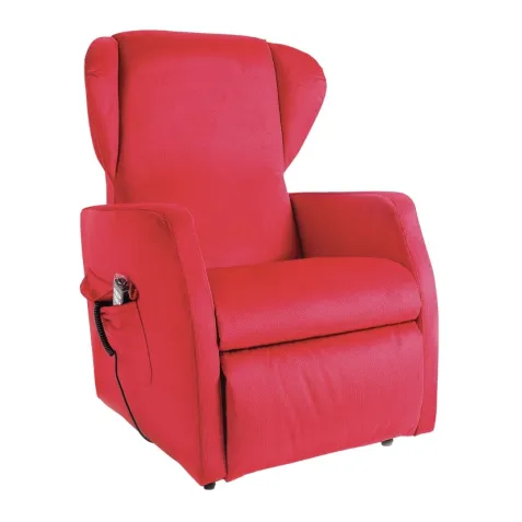 Sillón Incorporador Relax NINFEA 2 Motores ROLLER SYSTEM... 2