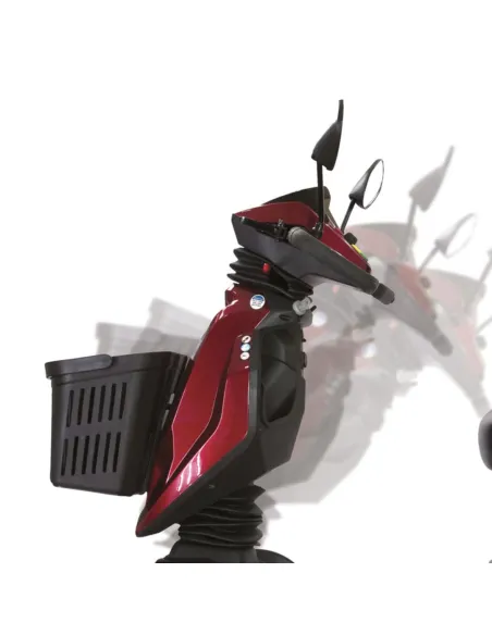 Scooter Eléctrico de 4 Ruedas Mobility 250