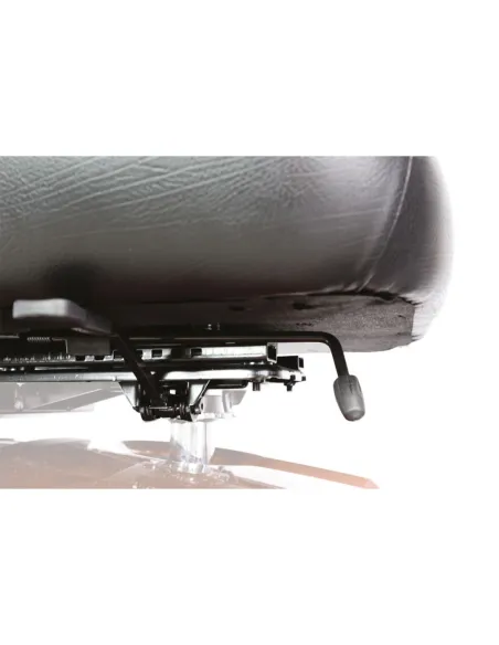 Scooter Eléctrico de 4 Ruedas Mobility 250