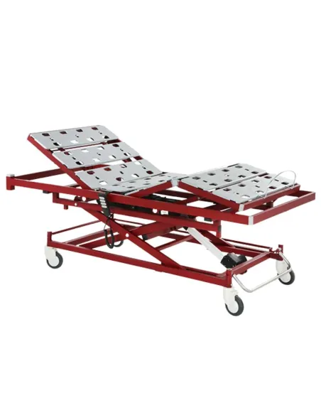 Cama Articulada LEZA PLUS Tecnimoem