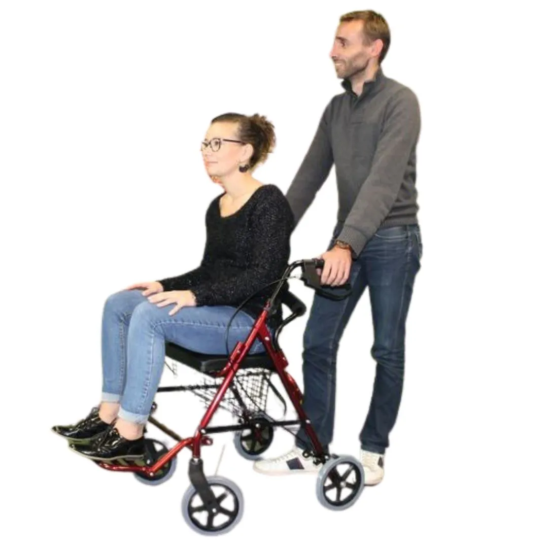 Andador Rollator Silla de Traslado VICTOR