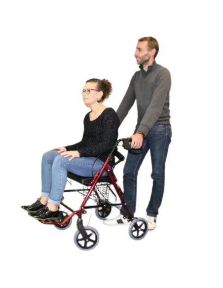 Andador Rollator Silla de Traslado VICTOR