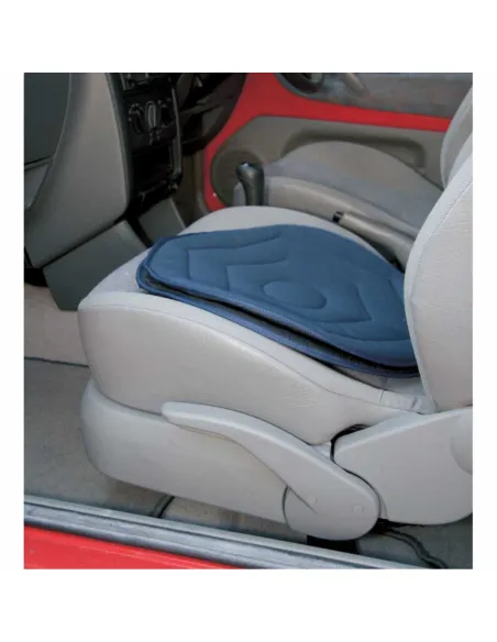 Cojín Disco Giratorio para Coche