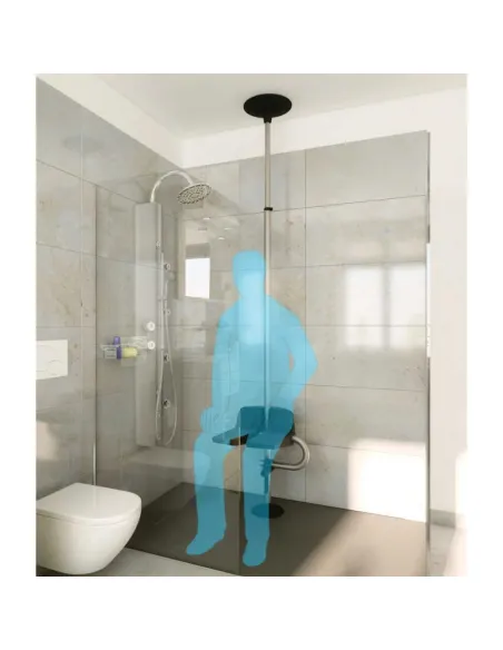 Columna Asidero GRIPO Suelo Techo Ajustable (Accesorios Opcionales)