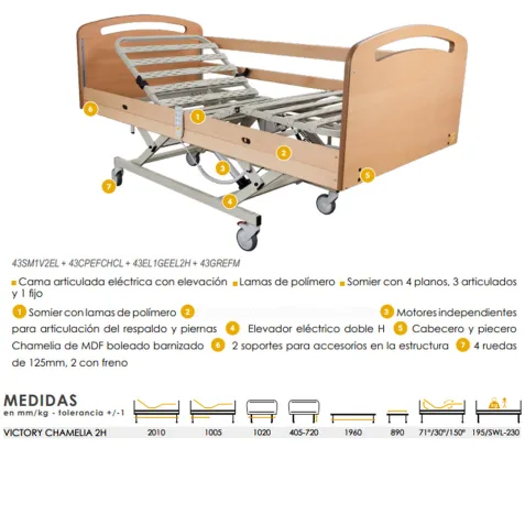 Cama Articulada Eléctrica VICTORY con Carro Elevador 2H
