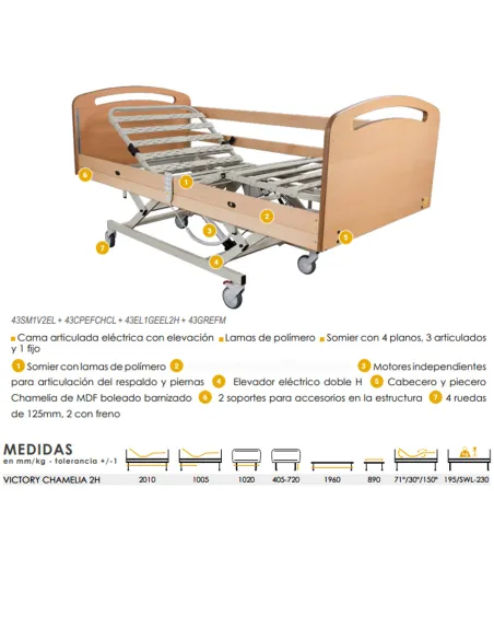 Cama Articulada Eléctrica VICTORY con Carro Elevador 2H