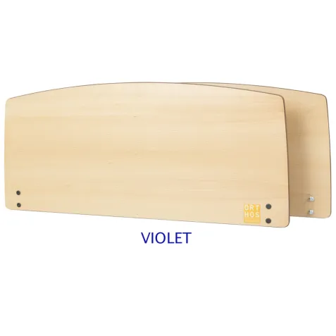 Cama Articulada Eléctrica VICTORY hasta195 Kg 2