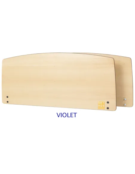 Cama Articulada Eléctrica VICTORY hasta195 Kg