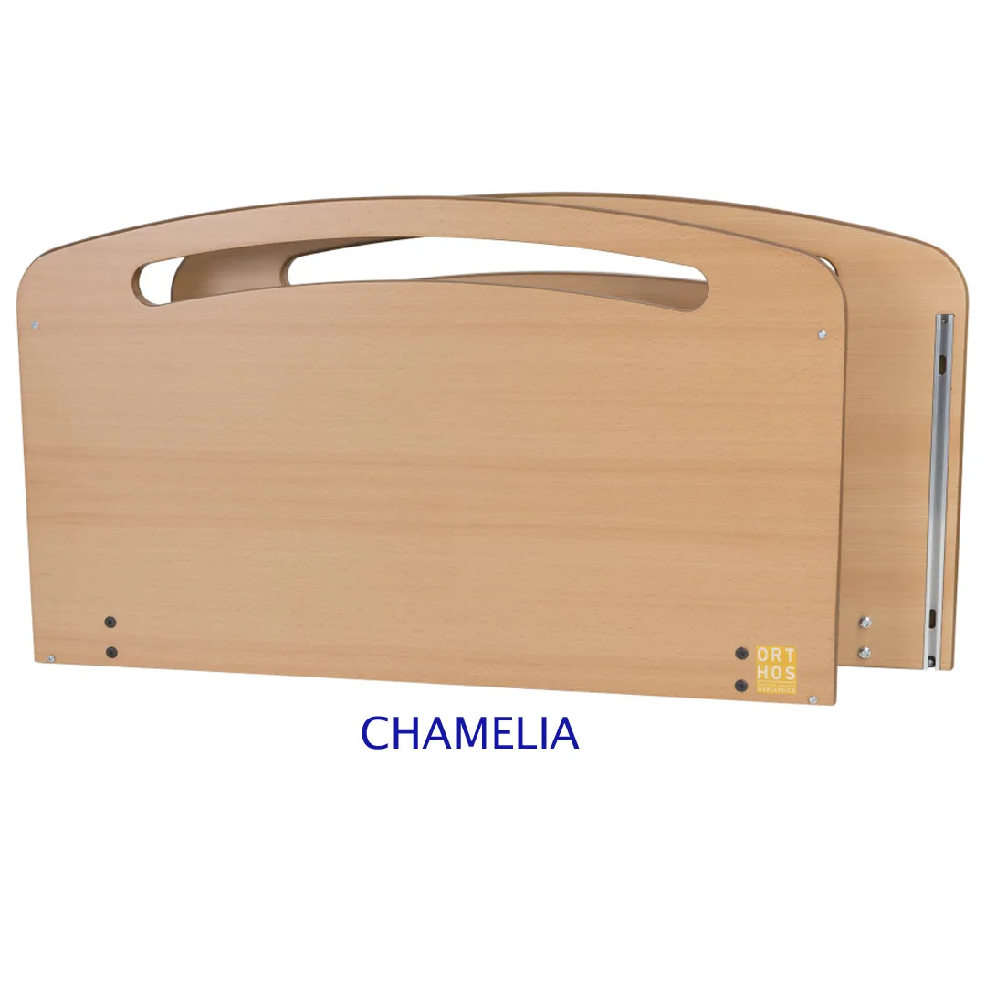 Cama Articulada Eléctrica VICTORY hasta195 Kg