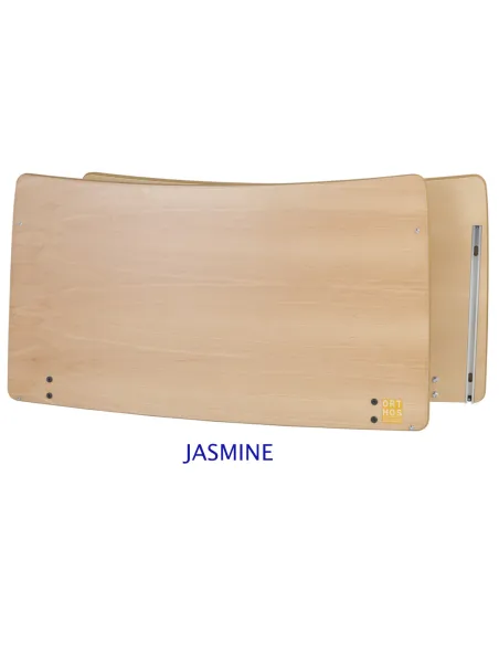 Cama Articulada Eléctrica VICTORY con Carro Elevador 2H