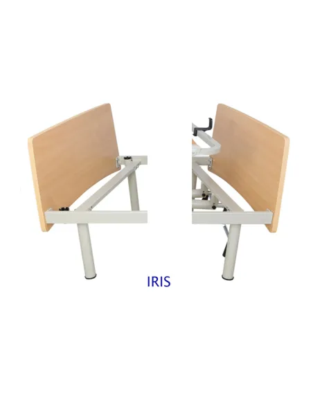 Cama Articulada Eléctrica FANTASY con Carro Elevador T