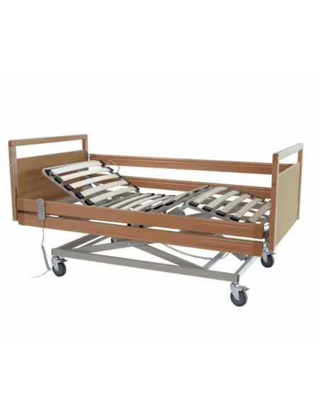 Cama Articulada GERBERA con Carro Elevador
