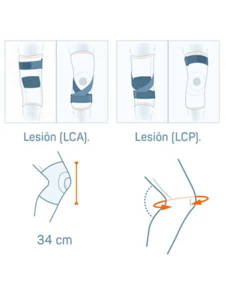 Rodillera de Neopreno Ligamentos Cruzados Orliman