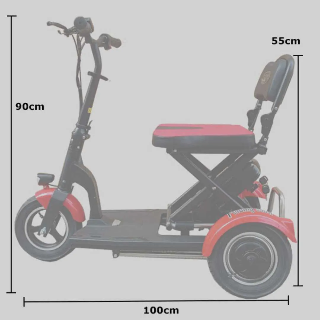 Scooter Eléctrico de 3 Ruedas FOLDING 300 W