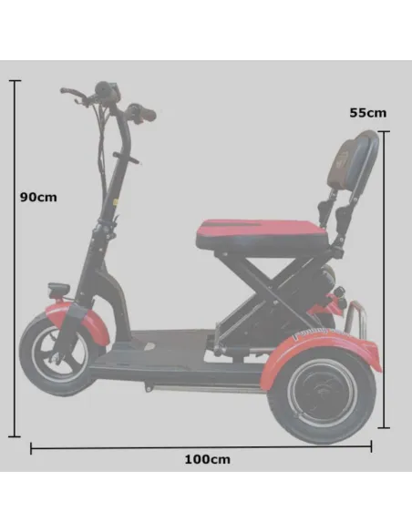 Scooter Eléctrico de 3 Ruedas FOLDING 300 W