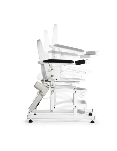 Elevador de inodoro eléctrico Easy Up Wellell