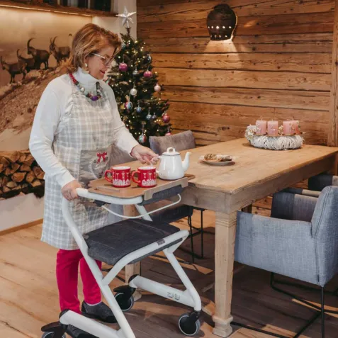 Andador Rollator de Interior SALJOL 2