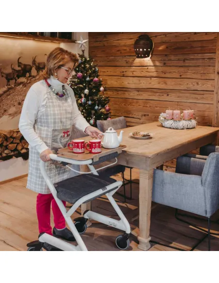 Andador Rollator de Interior SALJOL