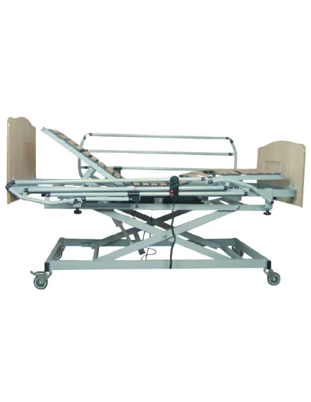 Cama articulada con Carro Elevador GO hasta 170 Kg