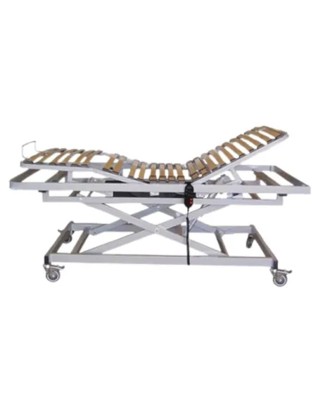 Pack Cama articulada con Carro Elevador GO hasta 140 Kg