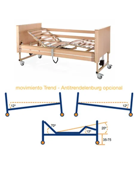 Cama Articulada TEIDE Especial ALZHEIMER con Trend y Antitrend 