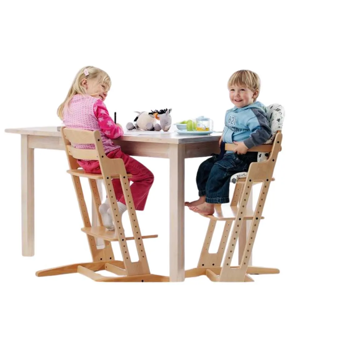 Silla Infantil Alta Evolutiva DANCHAIR