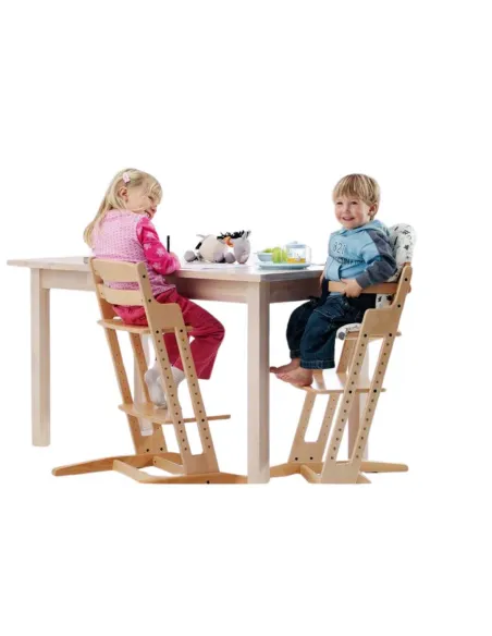 Silla Infantil Alta Evolutiva DANCHAIR