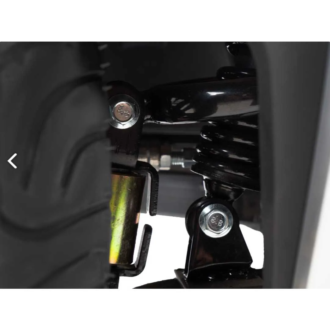 Scooter MADAGASKAR con Amortiguación y Pantalla...