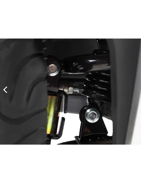 Scooter MADAGASKAR con Amortiguación y Pantalla Táctil