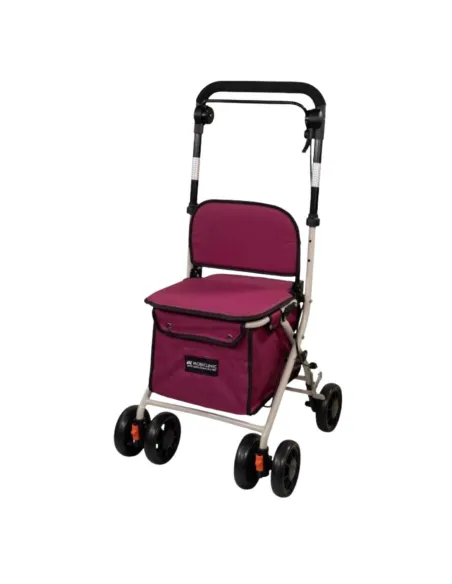 Andador  Silla Carro de Compra COLISEO • 5 Colores