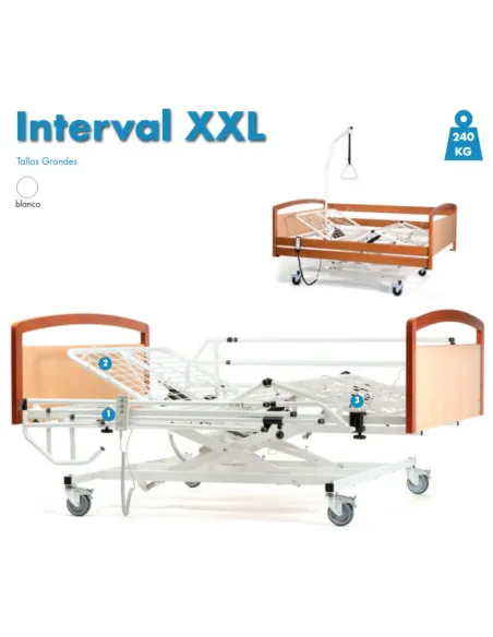 Cama Bariátrica XXL INTERVAL de 120 o 140 cm
