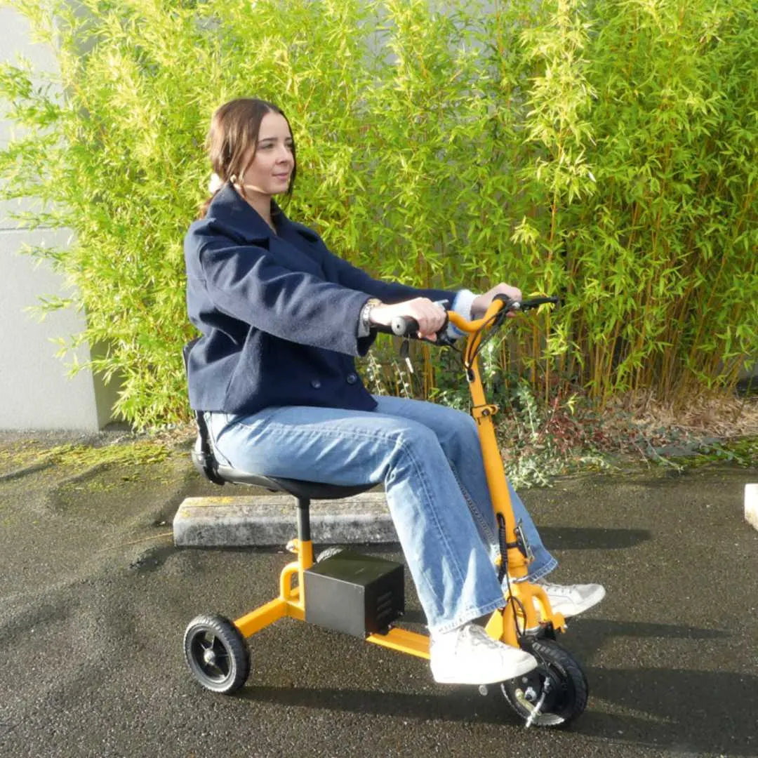 Mini Scooter ID LOISIR · IVA 21%