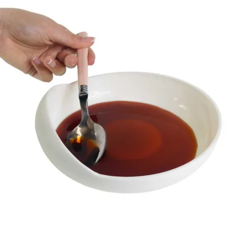 Plato con Reborde con Ventosa 2