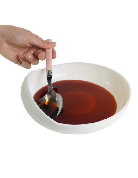 Plato con Reborde con Ventosa