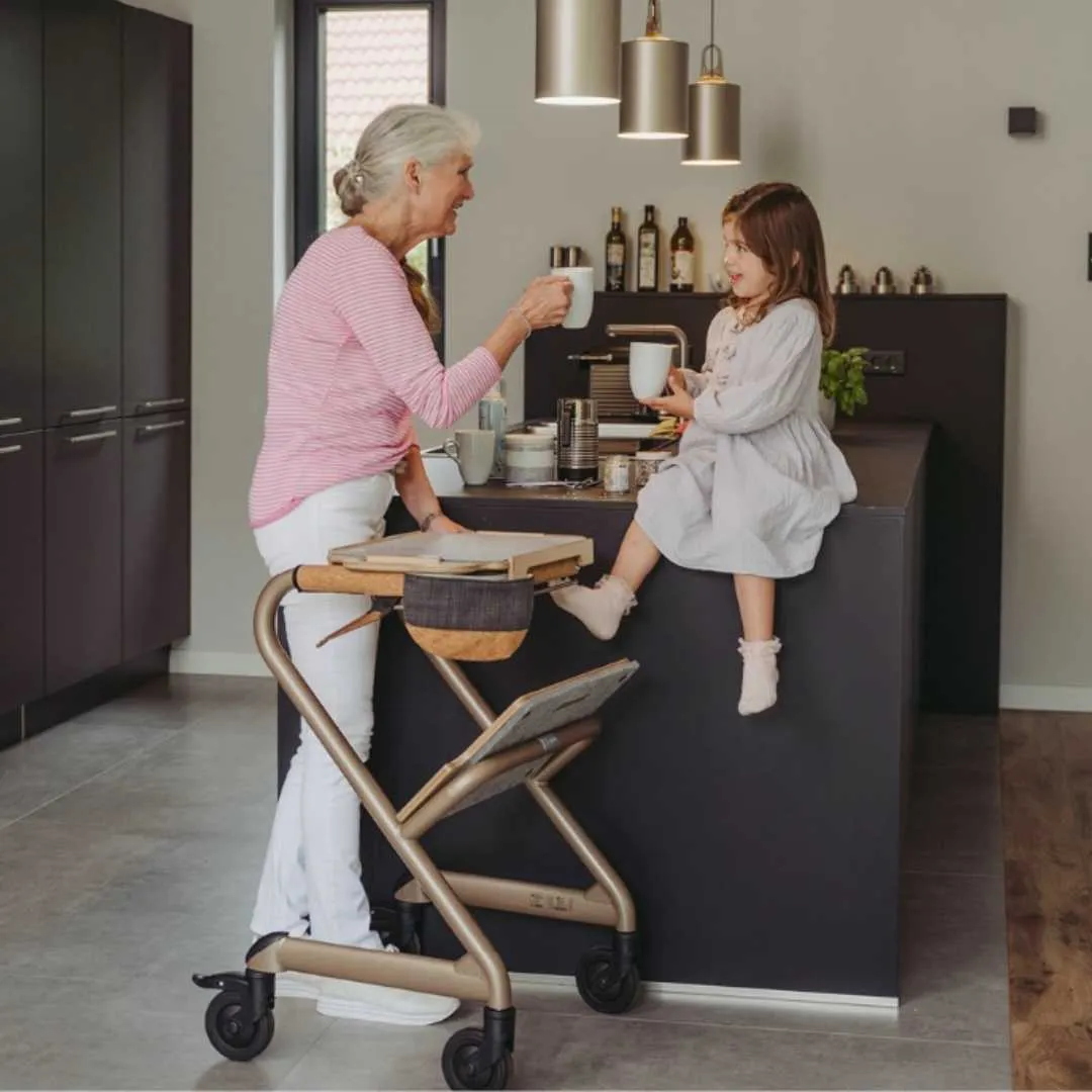 Andador Rollator de Interior SALJOL