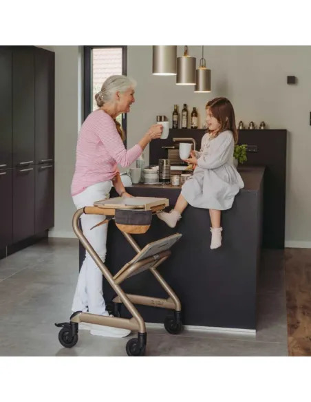 Andador Rollator de Interior SALJOL