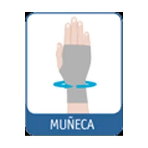 Muñequera Elástica ORLIMAN SPORT 2