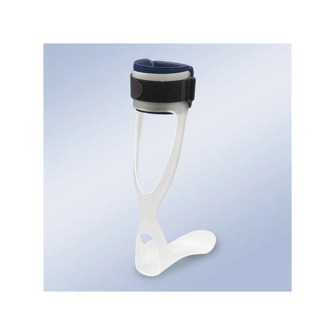 Rancho de los Amigos Antiequino