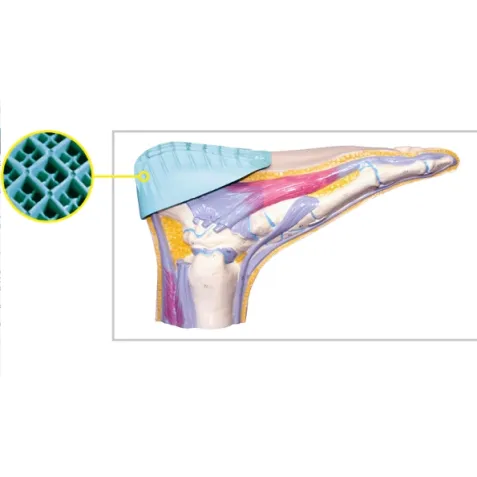 Talonera Deportiva de Caucho Pro Heel Cup 2