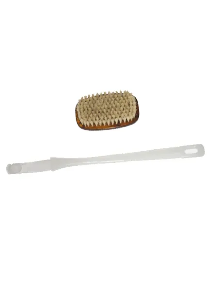 Cepillo Con Mango Extraible