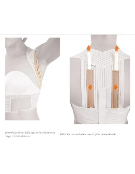 Espaldera Transpirable Reforzada de Orliman