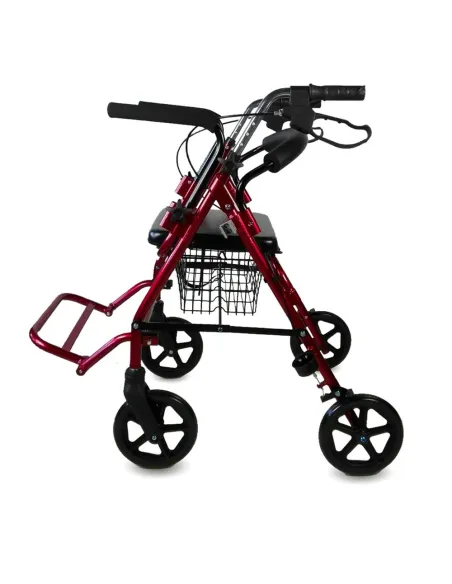 Andador Rollator Silla de traslado COLON