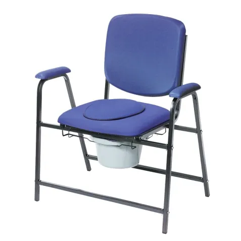 Sillón con Inodoro