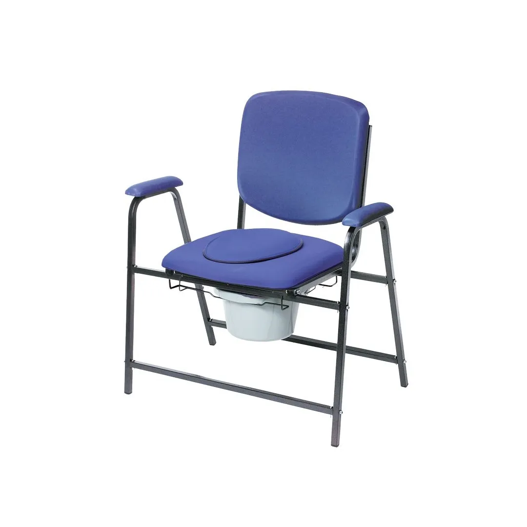 Sillón con Inodoro