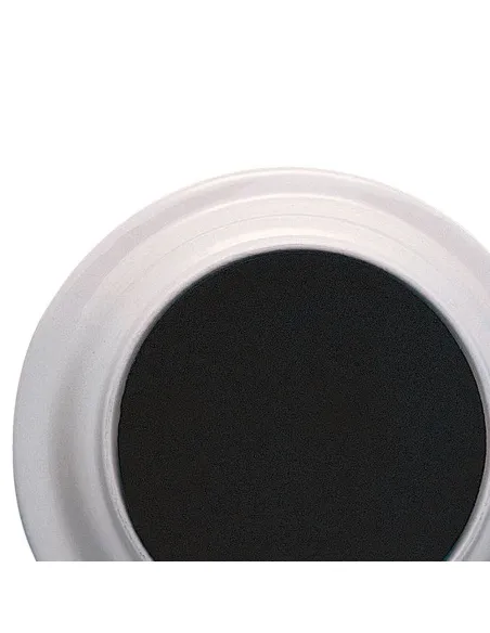 Plato Antideslizante con Borde Alto Plato Antideslizante con Borde Alto